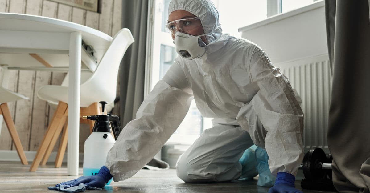 Bournemouth Pest Control — pest control in Bournemouth