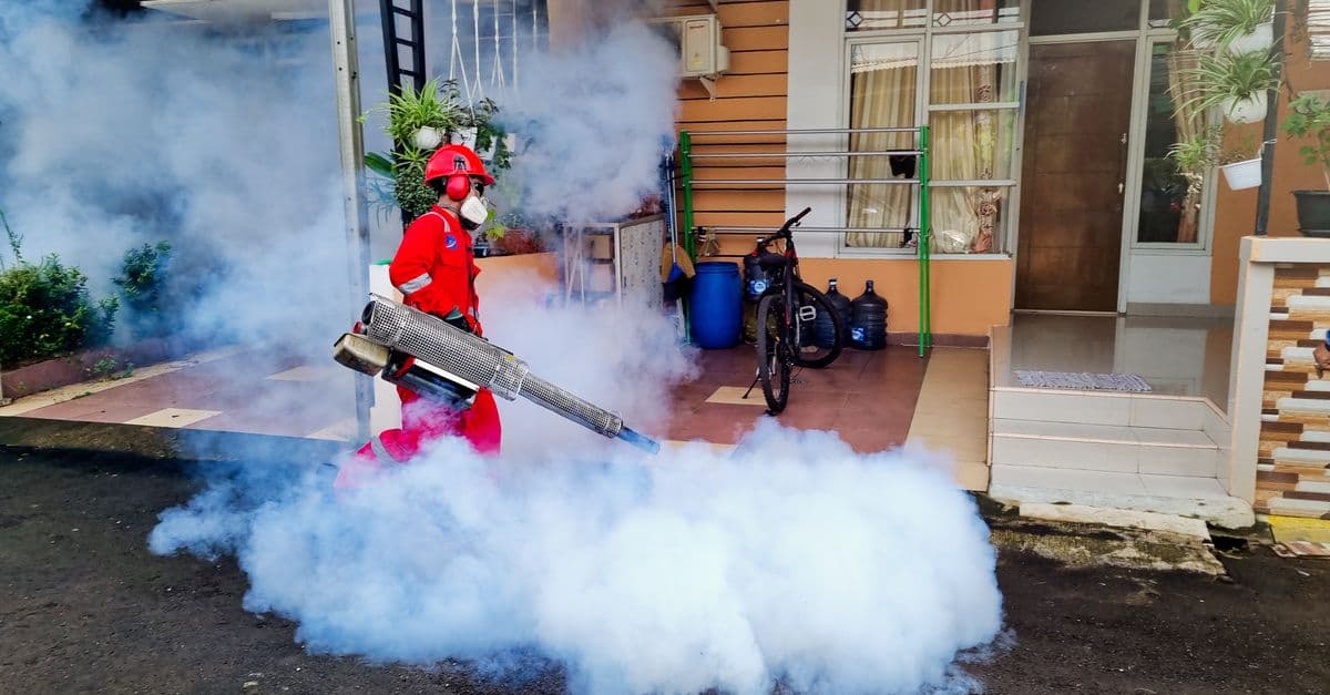 Bournemouth Pest Control — local pest control
